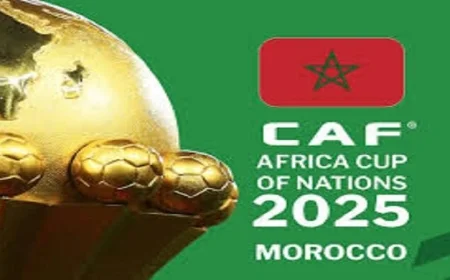 الديوان الملكي يعلن استضافة المغرب لأمم إفريقيا نجاح تاريخي للقارة الإفريقية