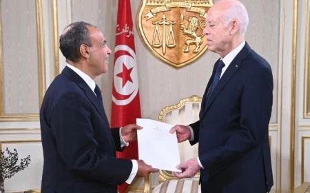 وزير الخارجية ينقل رسالة مهمة من الرئيس السيسي إلى الرئيس التونسي