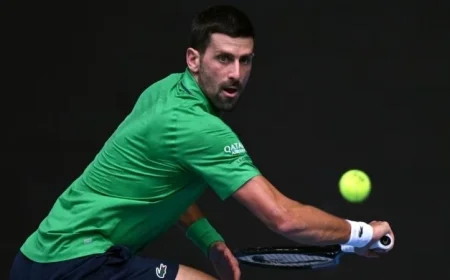 ديوكوفيتش يتقدم لنصف نهائي بطولة أستراليا المفتوحة للتنس بعد انسحاب موسيتي بسبب الإصابة