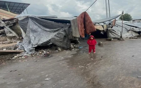 بريطانيا تعلن عن دعمها القوي لخطط السلام في غزة وتعزيز رؤية حل الدولتين للمستقبل