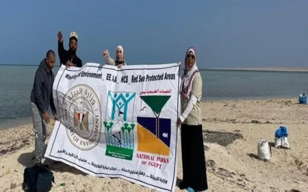 حملة تنظيف مبهرة في جزيرة أبو منقار بالغردقة بمناسبة يوم البيئة الوطني