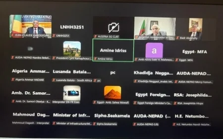 وزير الخارجية يساهم في تعزيز البنية التحتية بإفريقيا من خلال مشاركته في اجتماع المبادرة الرئاسية