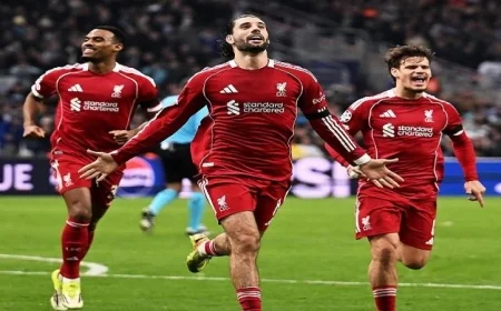 مباريات اليوم تشتعل ليفربول يواجه نيوكاسل والأهلي يتحدى يانج أفريكانز وبرشلونة ضد أتشيبريس