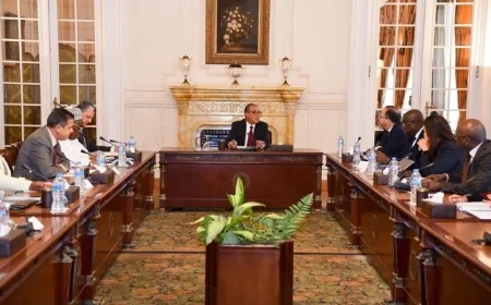 وزير الخارجية يؤكد عمق تقدير مصر للتعاون المثمر مع الاتحاد الأفريقي