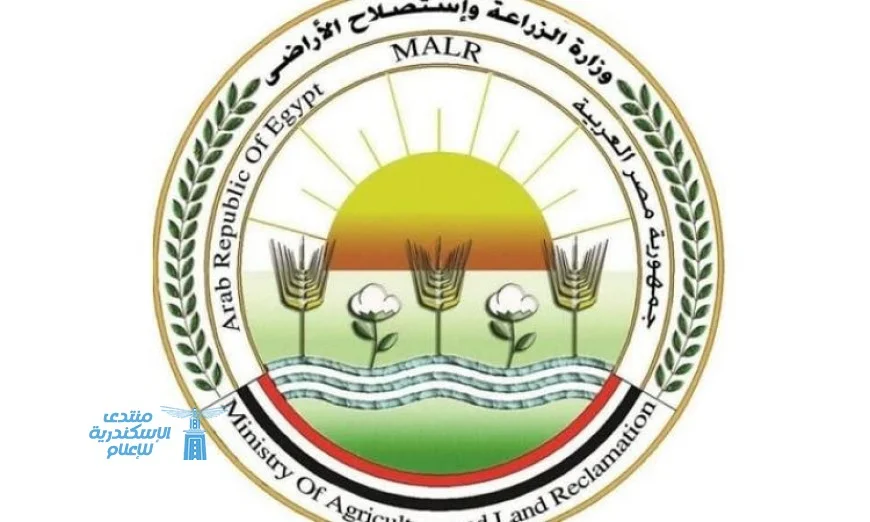 وزارة الزراعة تحذر من إحتيال صفحات وهمية تروج لمنتجاتها على الإنترنت