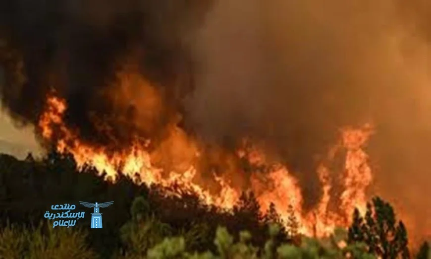 حرائق الغابات تسبب تلوثاً هوائياً أعلى بكثير مما كنا نعتقد