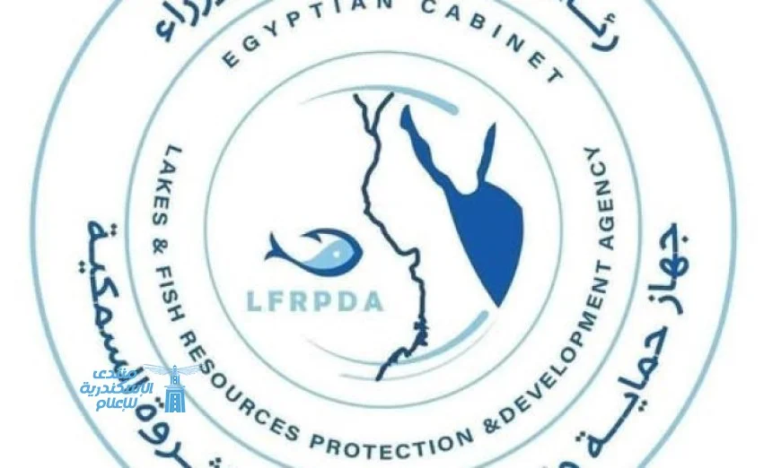 موسم الصيد يبدأ في محطة تحضين الخاشعة السمكية لتعزيز الإنتاج السمكي