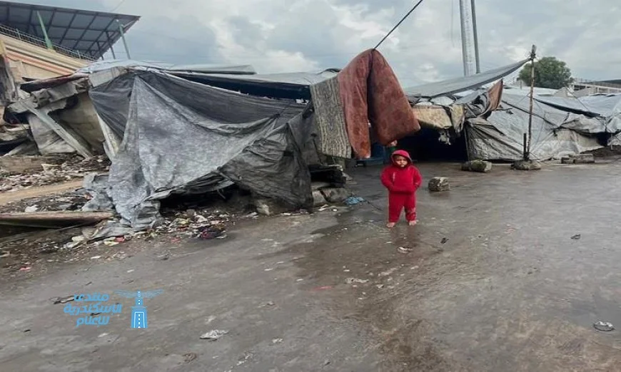 بريطانيا تعلن عن دعمها القوي لخطط السلام في غزة وتعزيز رؤية حل الدولتين للمستقبل