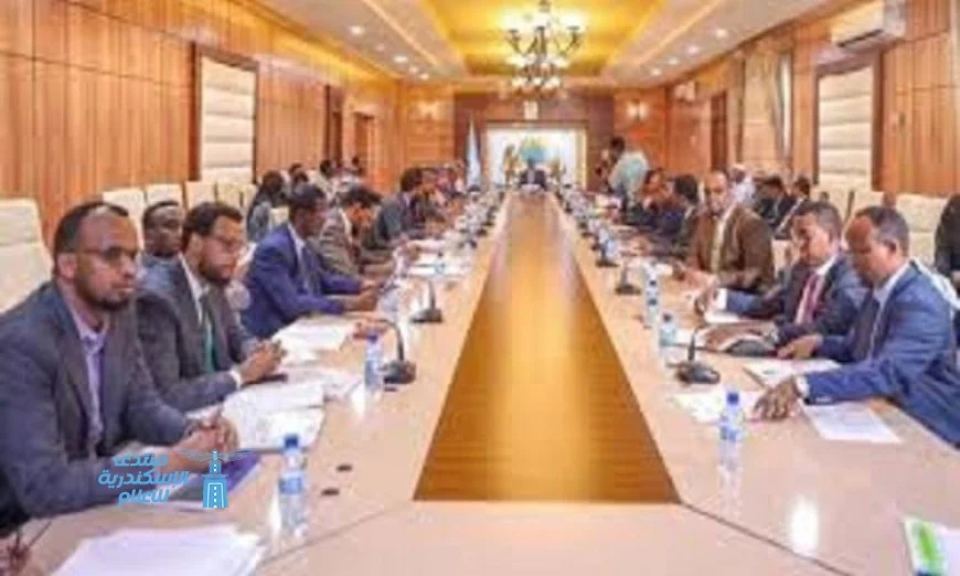 مجلس الوزراء الصومالي يوافق على تعيين قائد جديد للجيش لتعزيز الأمن والاستقرار