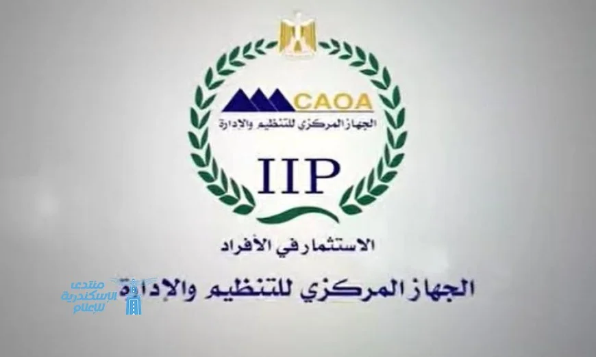 التنظيم والإدارة يكشف عن فرص عمل جديدة في القطاع التعليمي تشمل مسابقات لتوظيف معلمين في الفترة المقبلة