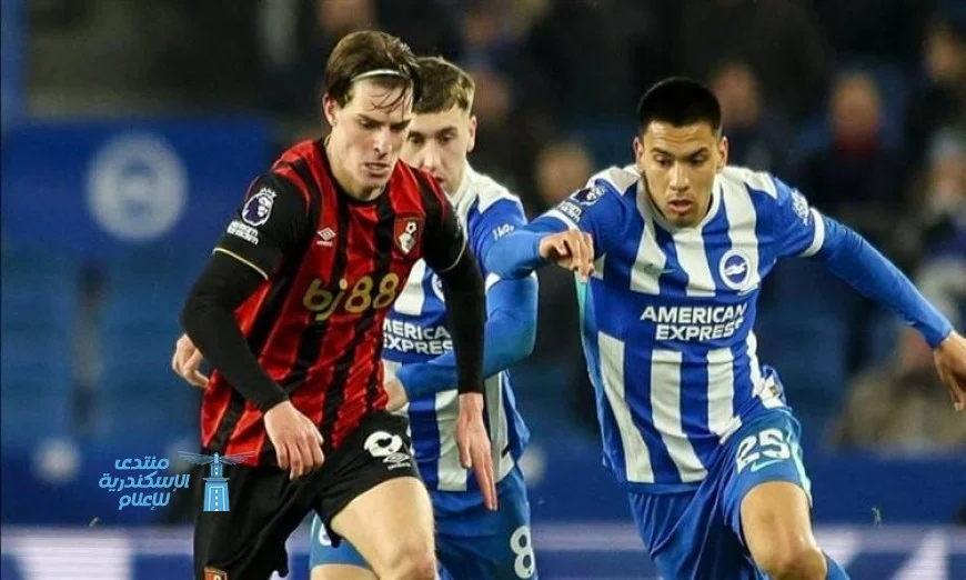 تعادل مثير في الدوري الإنجليزي بين برايتون وإيفرتون يلهب الأجواء