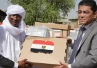 منحة مصرية بـ 10 آلات لغسيل الكلى تسلم لوزير الصحة التشادي على يد السفير المصري