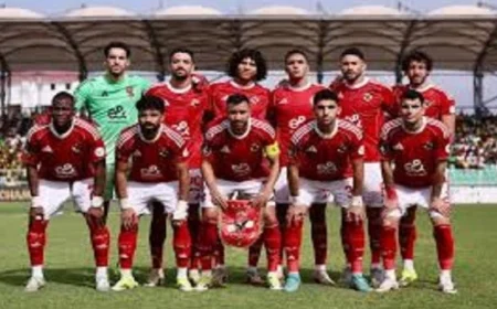 الأهلى يعود من تنزانيا ويتأهب لاستئناف المنافسة في الدوري المصري