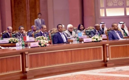 الصومال يعزز جهوده في الدبلوماسية الاقتصادية لبناء شراكات مستدامة