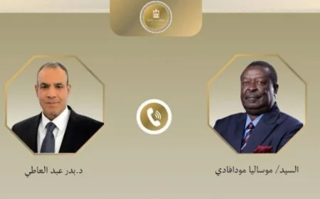وزير الخارجية يبرز عمق العلاقات المصرية الكينية في لقاء مع نظيره الكيني