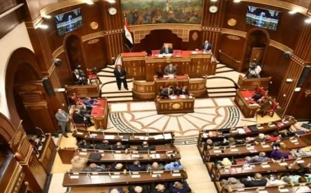 مجلس الشيوخ ينطلق في مناقشات شاملة لحماية الأطفال من مخاطر الإنترنت ووسائل التواصل الاجتماعي