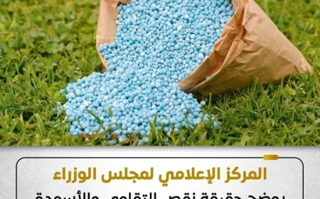 المركز الإعلامي للوزراء يكشف تفاصيل نقص تقاوي وأسمدة القمح بالمنافذ الرسمية