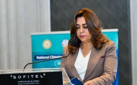 مصر تعزز من بناء الكوادر العلمية وتطوير البحث العلمي في مجالات تغير المناخ