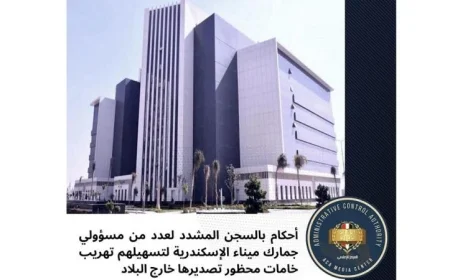 اعتقال 6 مسؤولين في جمارك ميناء الإسكندرية بتهمة تهريب خامات محظورة