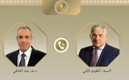 مصر تعزز جهودها لخفض التصعيد في المنطقة بحسب عبد العاطي