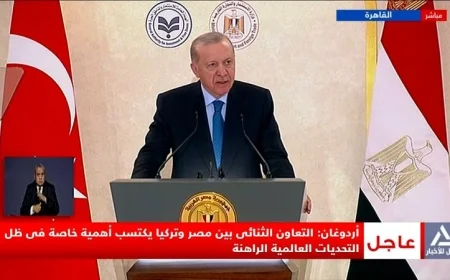 اردوغان يؤكد أهمية التعاون المصري التركي في مواجهة التحديات العالمية الحالية