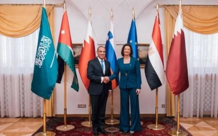 وزير الخارجية يشارك في اجتماع اللجنة الوزارية العربية الإسلامية حول غزة في سلوفينا