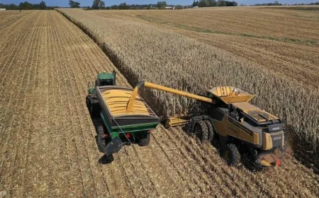 توقعات بتراجع دخل المزارع الأمريكية مع زيادة الاعتماد على الدعم الحكومي