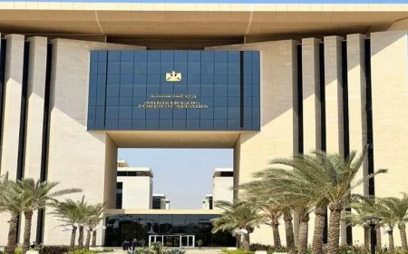 مصر تقود جهوداً متكاملة نحو السلم والأمن والتنمية في إفريقيا بحسب وزارة الخارجية