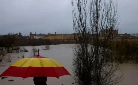 العاصفة مارتا تتسبب في أضرار كبيرة لمزارع شبه الجزيرة الأيبيرية