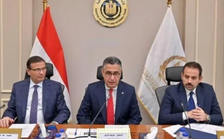 اتفاق ثلاثي لاستيراد دواجن مجمدة وعرضها في الأسواق قبل رمضان