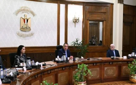 مدبولي يكشف تفاصيل مشروع التحول الرقمي لهيئة التأمينات الاجتماعية وأهم مراحله التنفيذية