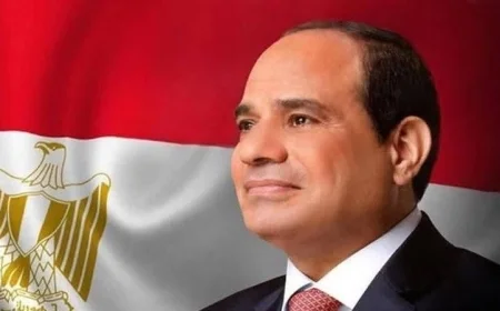 قمة مصرية صومالية لتعزيز العلاقات والشراكة الاستراتيجية بين مصر والصومال