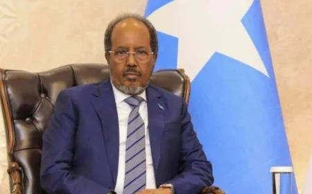 الرئيس الصومالي يشيد بدور مصر الفعال في تعزيز الأمن والاستقرار ووحدة الصومال