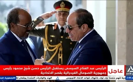 الرئيس السيسي يرحب برئيس جمهورية الصومال الفيدرالية في زيارة هامة لتعزيز العلاقات الثنائية