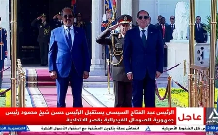خطاب الرئيس السيسى في المؤتمر الصحفي المشترك مع نظيره الصومالي يكشف عن أبرز القضايا والتحديات