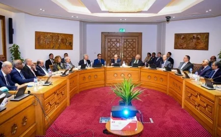 لقاء مثير بين وزير الخارجية والسفراء المصريين السابقين في قضايا الشأن الإفريقي