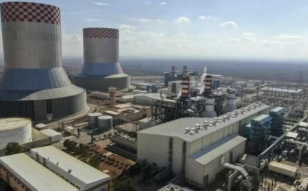 وكالة الطاقة الدولية تتوقع أن تصل حصة الطاقة المتجددة والنووية إلى نصف كهرباء العالم