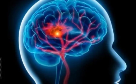 دراسة تكشف تأثير أماكن تخزين الدهون في الجسم على صحة الدماغ