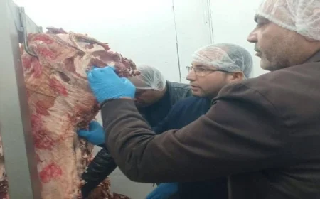 حملة تفتيشية ناجحة في القليوبية تضبط 7 أطنان من اللحوم والدواجن الفاسدة