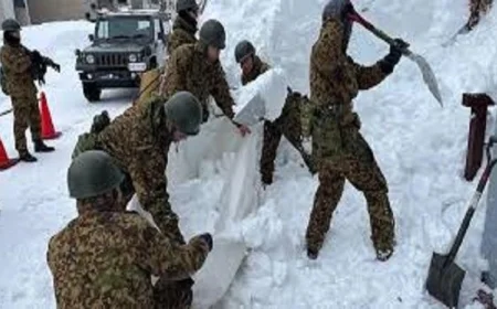 عدد ضحايا تساقط الثلوج الكثيف في اليابان يرتفع إلى 46 قتيلا