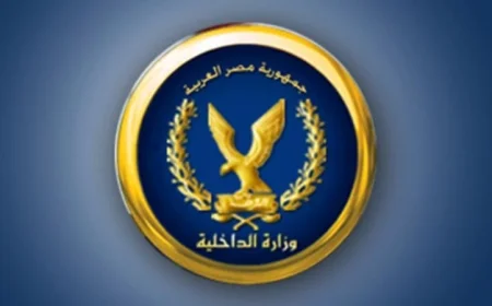 ضبط 207 قطعة سلاح ناري بقيمة 20 مليون جنيه بحوزة عصابة إجرامية خطيرة