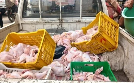 تحرير 236 محضر تمويني أثناء حملات تفتيشية على المخابز والأسواق في المنوفية