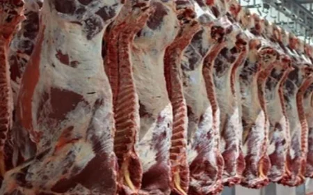 الأوقاف توزع 500 كيلو من لحوم الصكوك في القليوبية خلال شهر رمضان المبارك