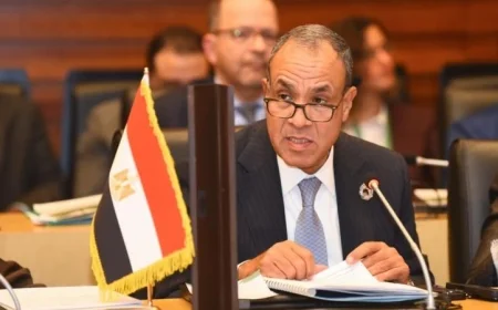 وزير الخارجية يتفاعل في اجتماع القمة الأفريقية حول تغير المناخ