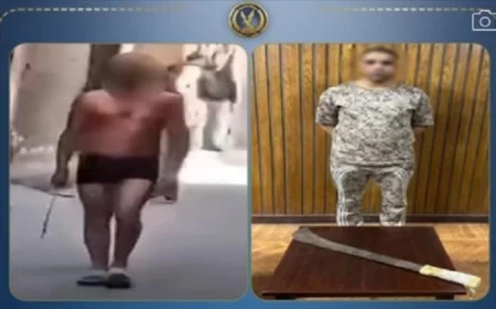 ضبط شخص اعتدى على رجل وابنه بسلاح أبيض في الإسكندرية