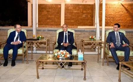 وزير الخارجية يبرز التزام الدولة بتوفير أفضل رعاية للمصريين في الخارج