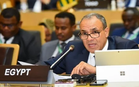 وزير الخارجية المصري يؤكد الموقف الثابت لمصر في قضيتي المياه والبحر الأحمر
