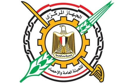 معدل البطالة ينخفض إلى 6.2٪ في الربع الرابع من عام 2025 حسب الإحصاءات الرسمية