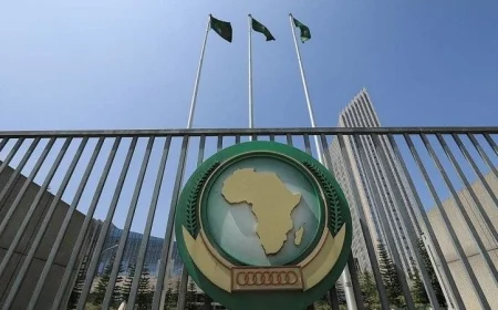 رئيس الاتحاد الأفريقي يبرز دور العمل الأفريقي المشترك ضمن مجموعة العشرين