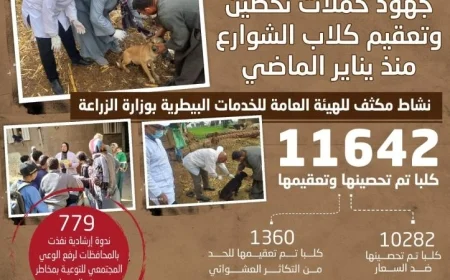 الزراعة تعلن تحصين وتعقيم أكثر من 11000 كلب شوارع منذ بداية عام 2023
